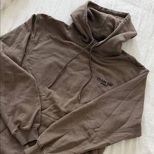 Team 247 Men's Taupe Hoodie